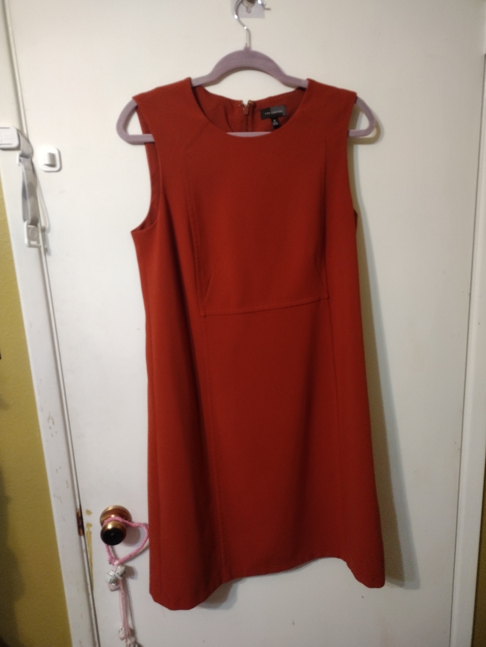 The Limited Rust-Red Sleeveless Shift Dress
